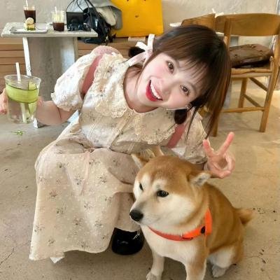 铃芽之旅